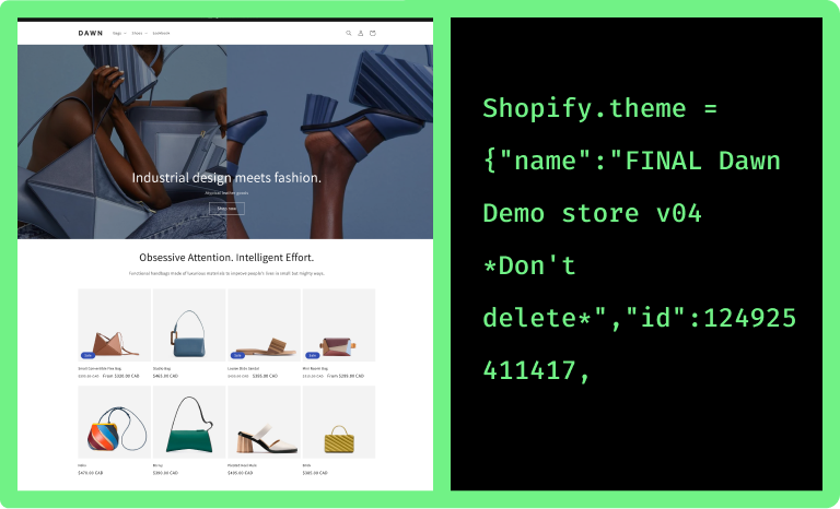 shopify demo store and source code